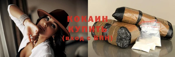 PSILOCYBIN Аркадак
