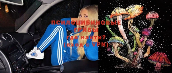 PSILOCYBIN Аркадак